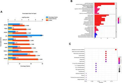 YgiM may act as a trigger in the sepsis caused by Klebsiella pneumoniae through the membrane-associated ceRNA network